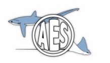 AES